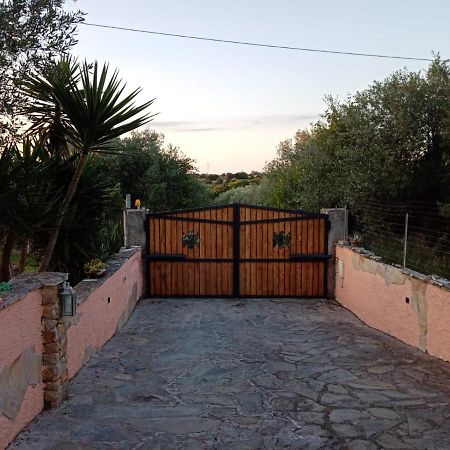 Villa Relax Tra Gli Ulivi Alghero Eksteriør bilde