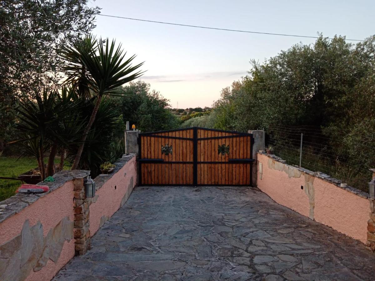 Villa Relax Tra Gli Ulivi Alghero Eksteriør bilde